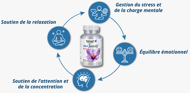 Complexe de safran, L-théanine, GABA pour qui ?